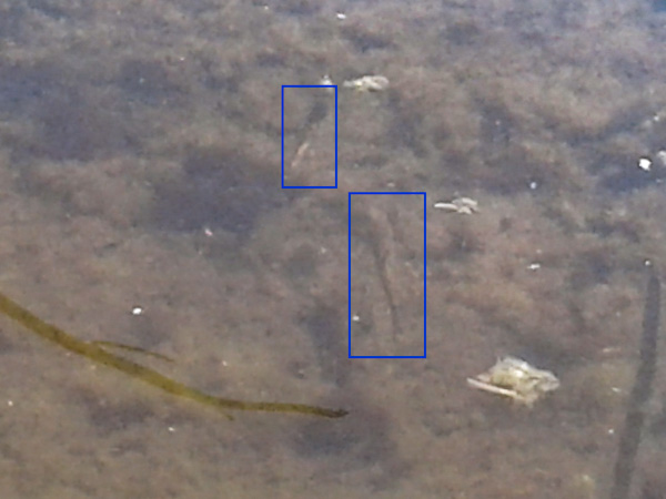 20180714_111229-Edit