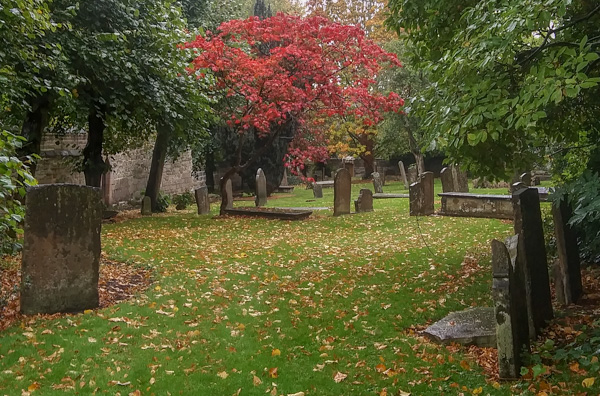 2018-10-06 02.51.55-2