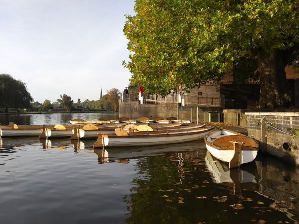 2018-10-07 01.08.54-1-1