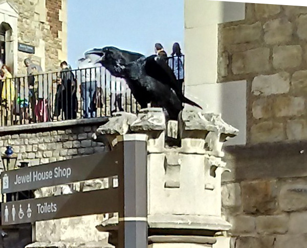 20181013_142642_HDR~2