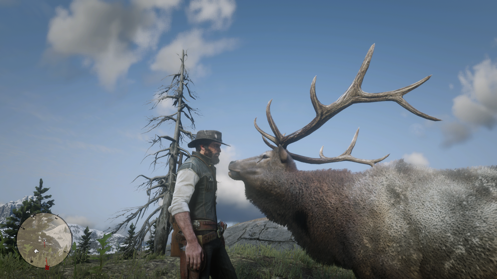 outside the map elk 2