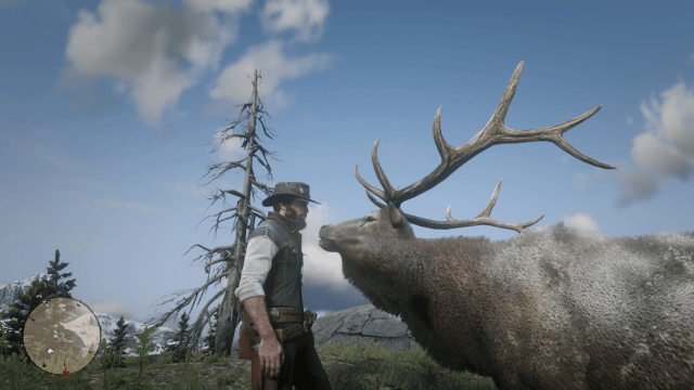 outside the map elk 2