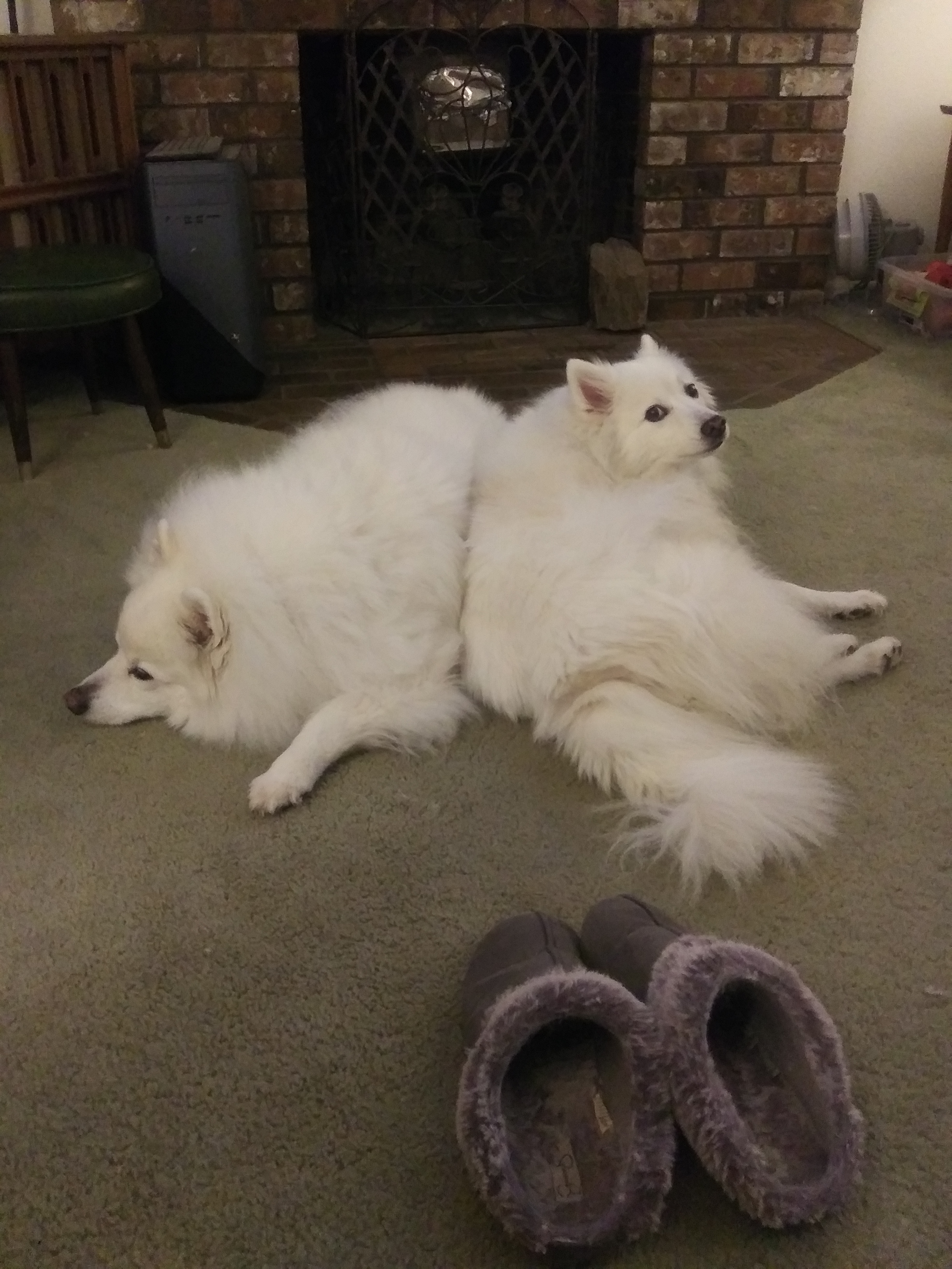 2020-02-09 21.03.15-1