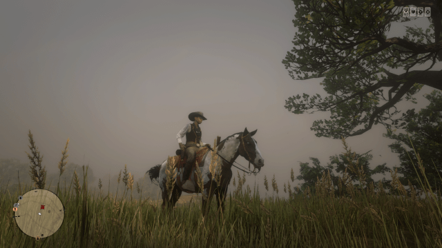 Red Dead Redemption 2 (13)